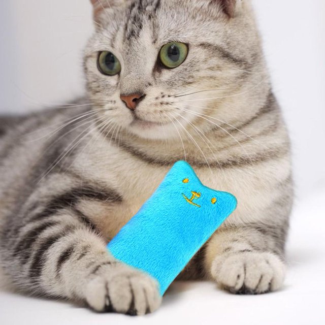 Gato azul menta juguetes de peluche suave resistente a mordidas PP algodón gatito juguete suministros para mascotas