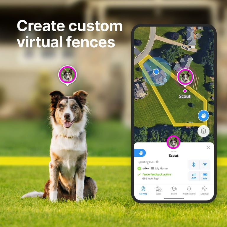 Halo Collar 4, All New GPS Wireless Dog Fence with Real-Time