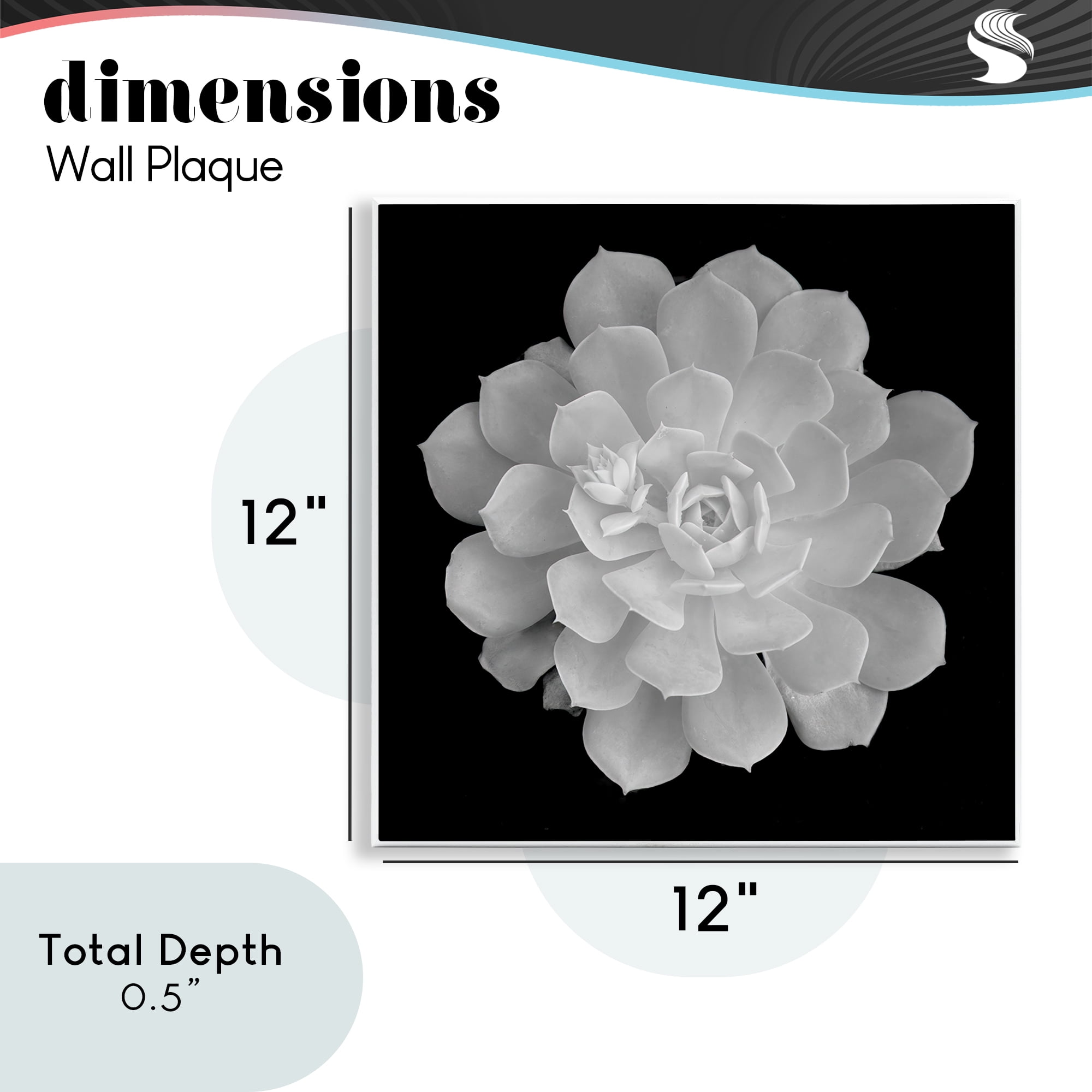 Pure White Succulent Contrast Wall Plaque Art, design by Phillip Flowers