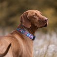 thumbnail image 2 of QQPETS Adjustable Soft Dog Collar: Print Flower Pink Multicolor Cute Patterns for XS Small Medium Large Pet Girl Boy Puppy Walking Running Training, 2 of 6