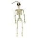 thumbnail image 1 of Esqueleto móvil, esqueleto de Halloween para colgar en el árbol, accesorio fotográfico de cuerpo entero de payaso Nariz roja, 1 of 9