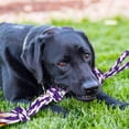 thumbnail image 5 of SHARLOVY Large Tough Chew Toys, 9-Piece Indestructible Cotton Puppy Teething Tug Set for Aggressive Chewers, 5 of 9