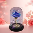 thumbnail image 7 of DefiDgd Valentine's Day Rose Gifts for Women,Glass Rose Flower Light Up Rose in Glass Dome,Birthday Xmas Valentines Gifts for Women Mom Wife Grandma(B), 7 of 7