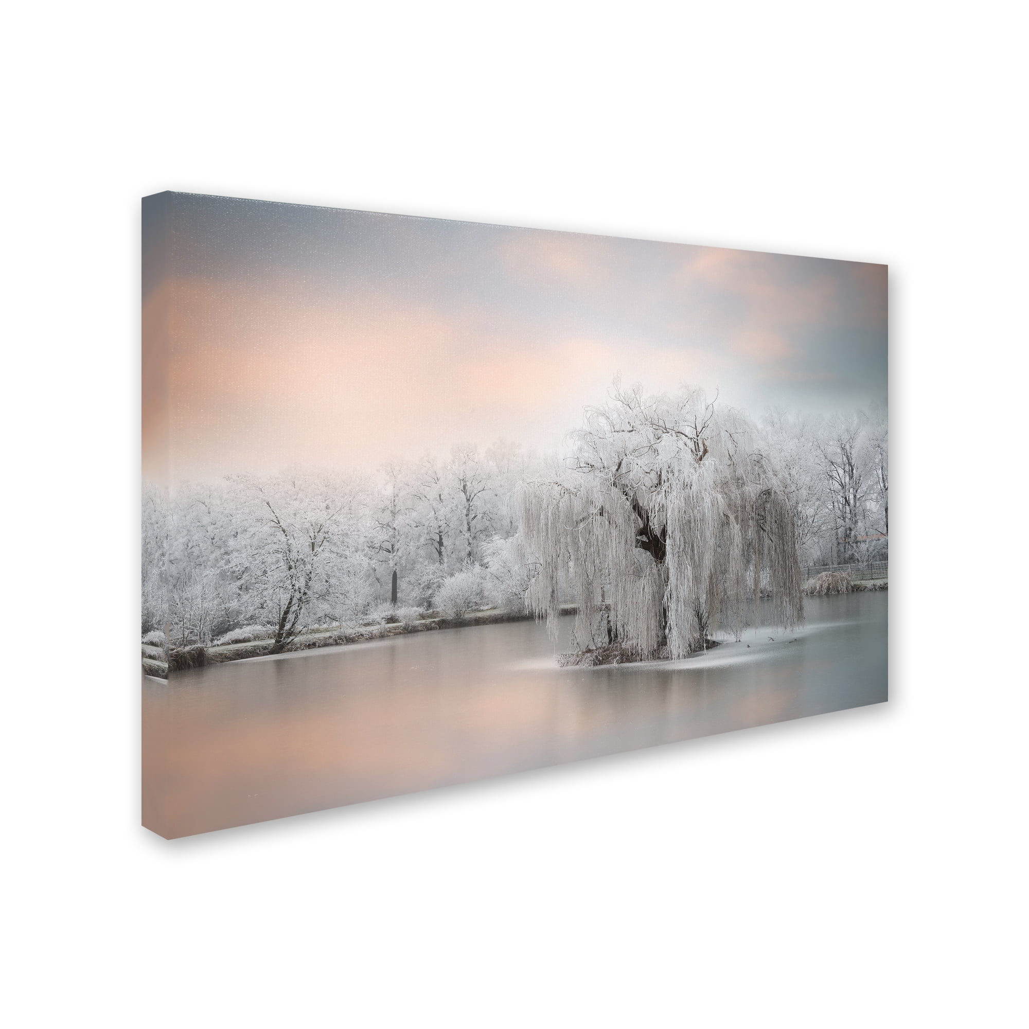 Trademark Fine Art 'Pure White' Canvas Art by Philippe Sainte-Laudy