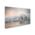 thumbnail image 2 of Trademark Fine Art 'Pure White' Canvas Art by Philippe Sainte-Laudy, 2 of 3