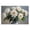 White Peony Bouquet Vase, variant on Stupell Industries French Country In Full Bloom White Peonies Black Floating Frame Canvas Art, 25 x 17, by Petals Prints Design
