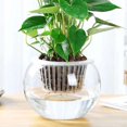 thumbnail image 5 of 50X Hydroponics Plant Grow Net Cup Mesh Aeroponic Aquaponic Mesh Pot Basket Set, 5 of 11