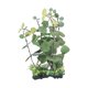 thumbnail image 4 of Caja de reptiles, decoración de plantas de simulación, segura, estable, inofensiva, planta Artificial, 4 of 5