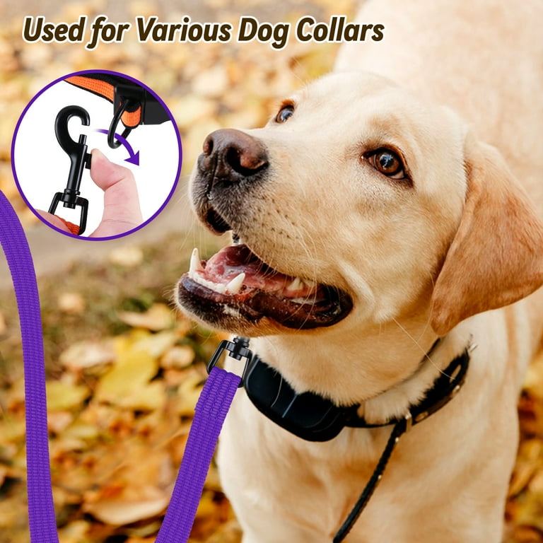 Long training lead for small dogs hotsell