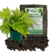 Autumn Fern and Soil Mix Combo - Live Plant in a 4 Inch Pot with 1 Quart Houseplant Soil Mix - Dryopteris Erythrosora with Custom Soil Blend