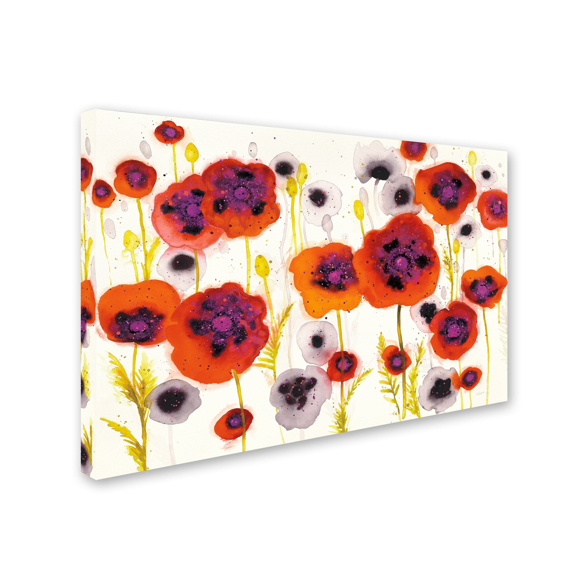 Trademark Fine Art "Splash Garden I" Canvas Art by Shirley Novak