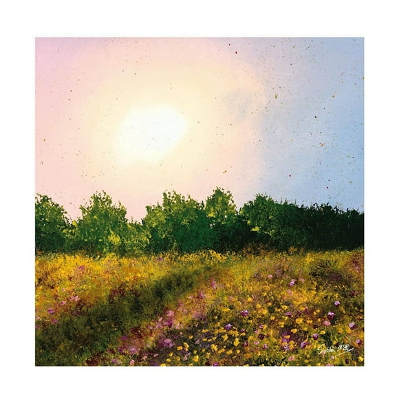 Siobhan McEvoy Wildflower Meadow Paper Print