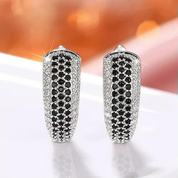EOEMY 925 Silver Filled Hoop Earrings Gifts Unique Women Cubic Zirconia Jewelry-Black