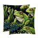 thumbnail image 1 of Elegantes fundas de terciopelo con diseño de rana: juego de 2 fundas decorativas para almohadas de cama con diseños únicos para la decoración del hogar, disponibles en 40,6 x 40,6 cm, 45,7 x 45,7 cm, 1 of 6