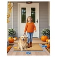 thumbnail image 2 of Door Mat Welcome Outdoor Mat: Artificial Coir Doormat for Indoor Outdoor Outside Home Entrance - Blank Plain Door Mats for Crafting Painting - Ultra Thin Door Mat for Front Door 17"x 30" 10 Pack, 2 of 7