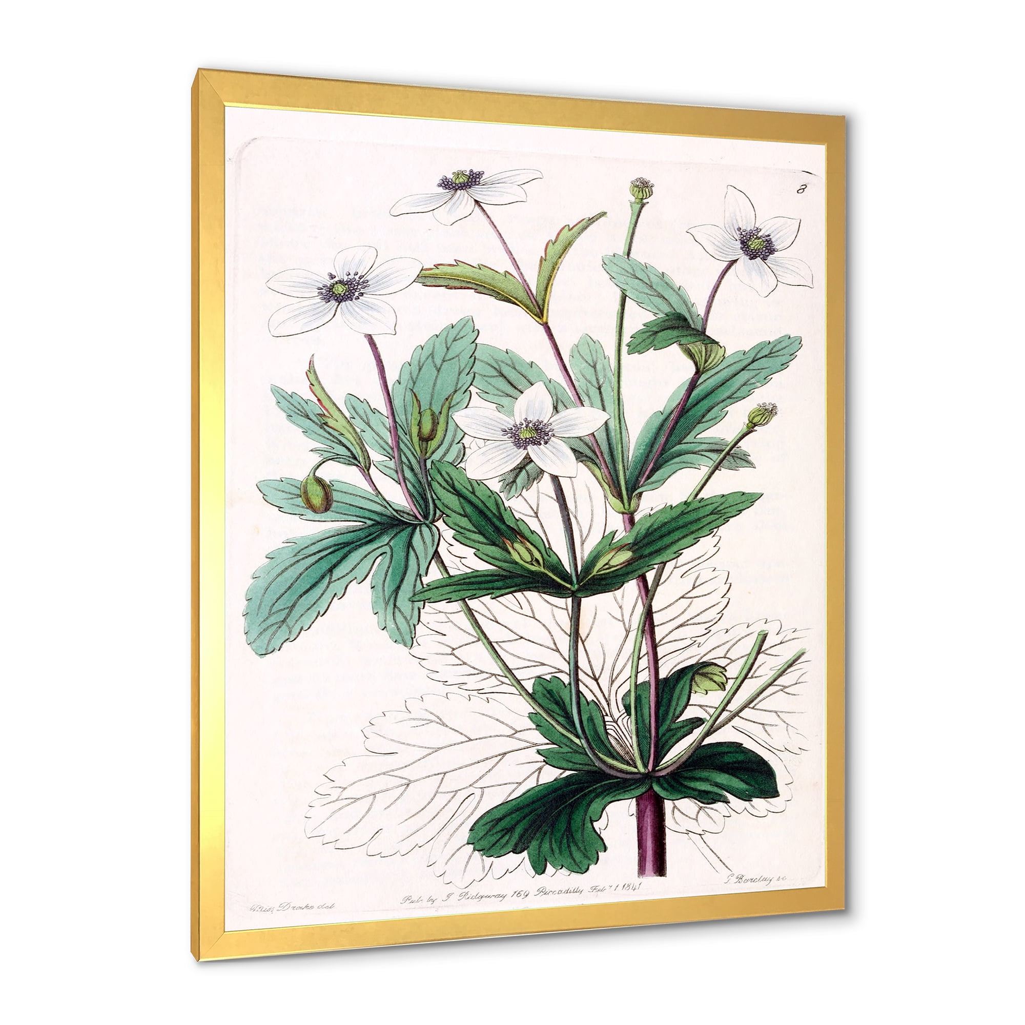 Designart 'Ancient Plant Life XXI' Traditional Framed Art Print