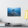 thumbnail image 3 of Tiger Shark Hunting Tiger Shark on Hunt Print Animal Wall Art Wildlife Canvas Prints Wall Art Ready to Hang Unframed, 3 of 18