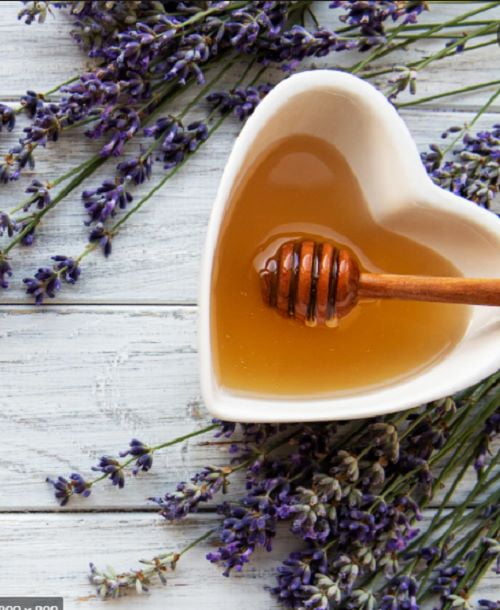 Heather Hills Lavender Honey 4oz (Pack of 3)