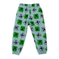 thumbnail image 2 of Jogger Minecraft para Niño con Estampado de Minecraft Gris Talla 4, 2 of 4