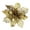 Gold, variant on WJSXC 5PC Poinsettia Artificial Christmas Decoration Flowers with Clips, Christmas Tree Ornament Glitter Flowers for Xmas Christmas Decoration Wreath Gift Boxes Indoor Outdoor Decorations