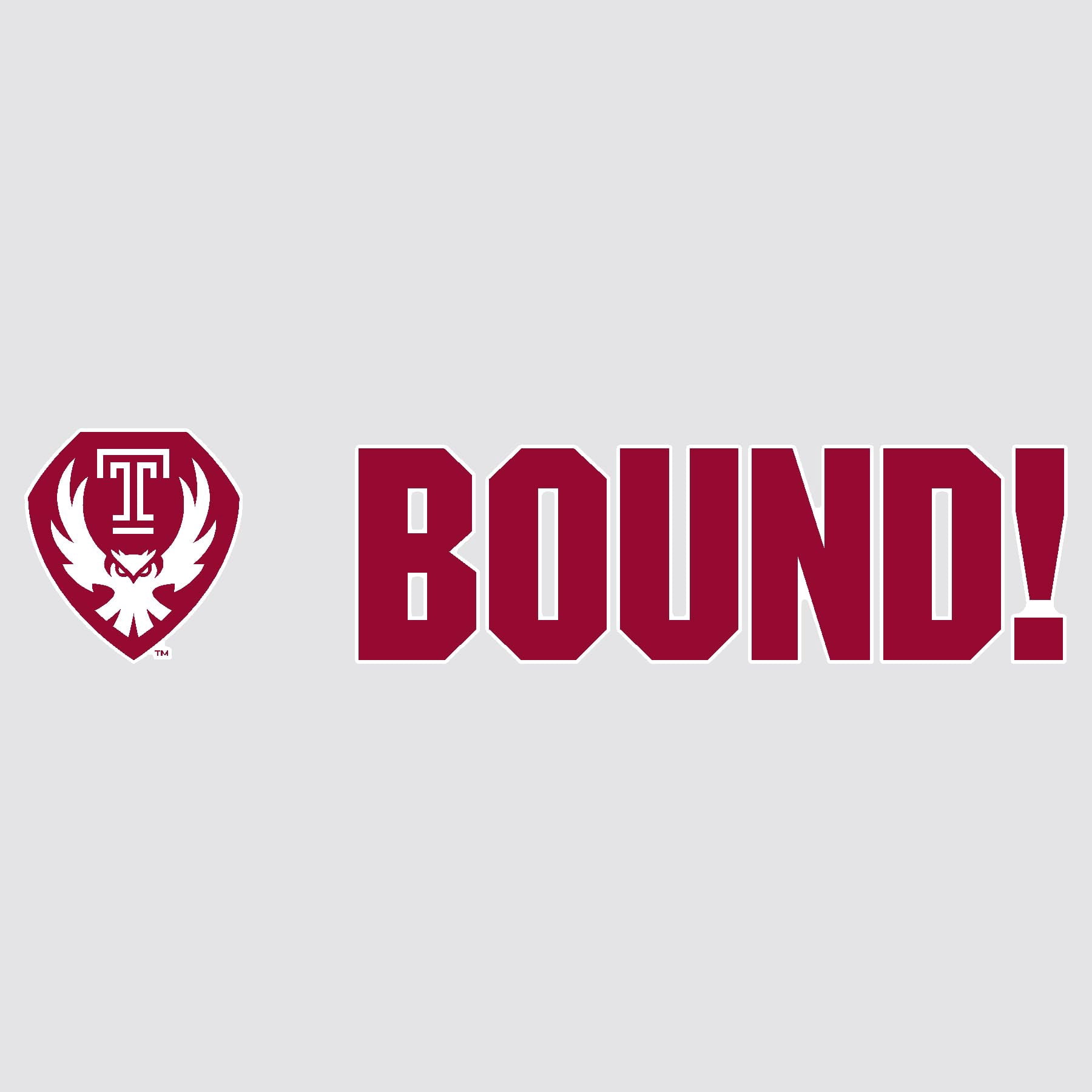 Temple University BOUND Mascot Yard Sign Set