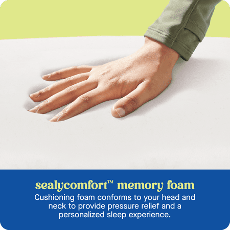 Sealy - Sealy® Dreamlife™ Contour Memory Foam Pillow, Standard - White