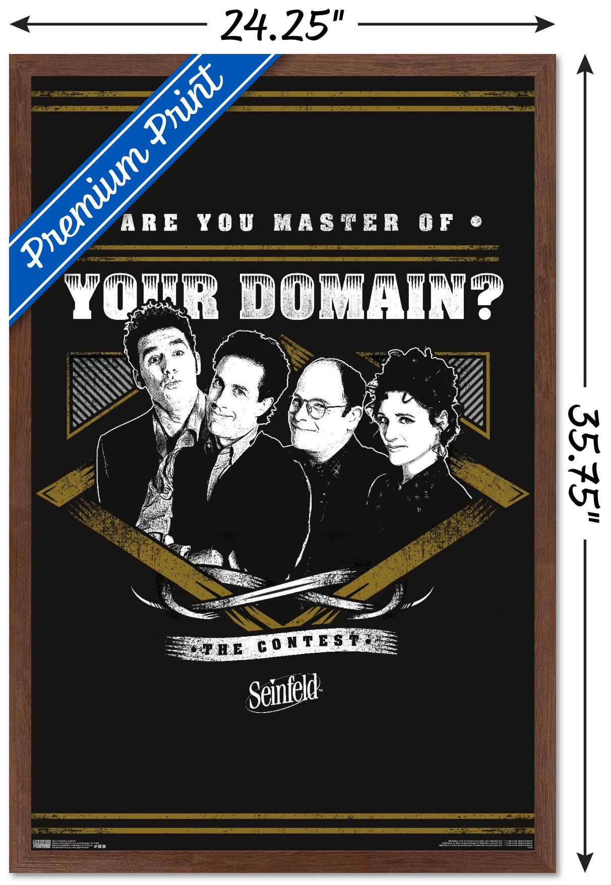Seinfeld - Domain Wall Poster, 22.375" x 34", Framed
