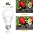 thumbnail image 3 of WTL 3 Way Light Bulb, A19 50/75/100W Equivalent (6W/10W/15W) 5000K Daylight, 500/1200/1600LM, Three Way LED Light Bulbs for Table Lamp, Dimmable, No Flicker (2 Pack), 3 of 6