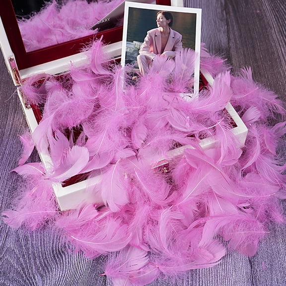 XmhyTop-A 100PCS Fake Goose Craft Feathers - Soft, Natural-Look Feathers for DIY Arts, Decor & Crafts-Pink