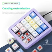 OUSEITECH 20-Key Mechanical Number Pad with Hot-Swappable Red Switches, RGB Backlit, USB-C Wired - Purple