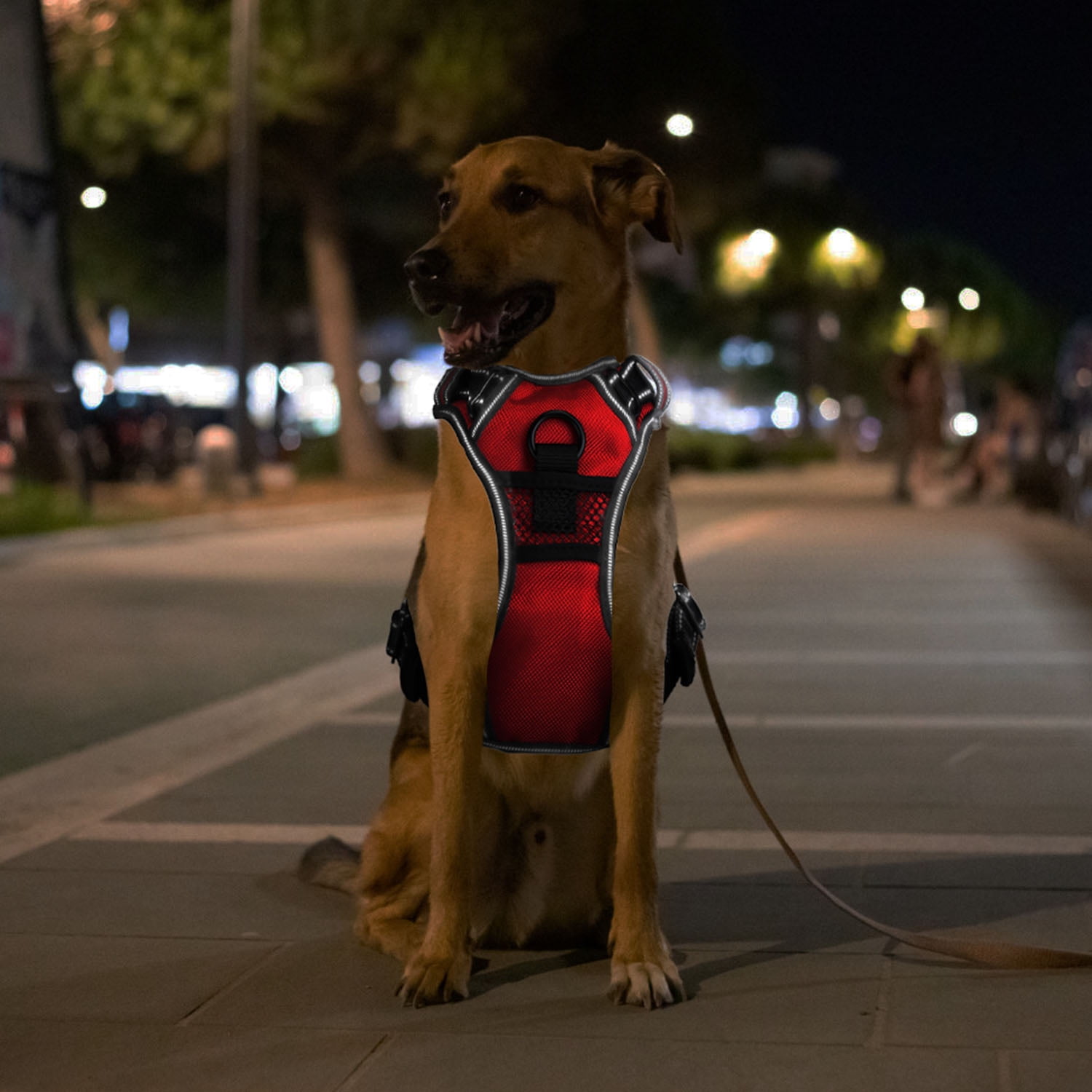 Teqhome Light Up Dog Harness LED No Pull Dog Harness Rechargeable Lighted Dog Vest Harness for Night Walking Adjustable Glowing Vest for 38.58-49.6lbs Dogs (Red, L)