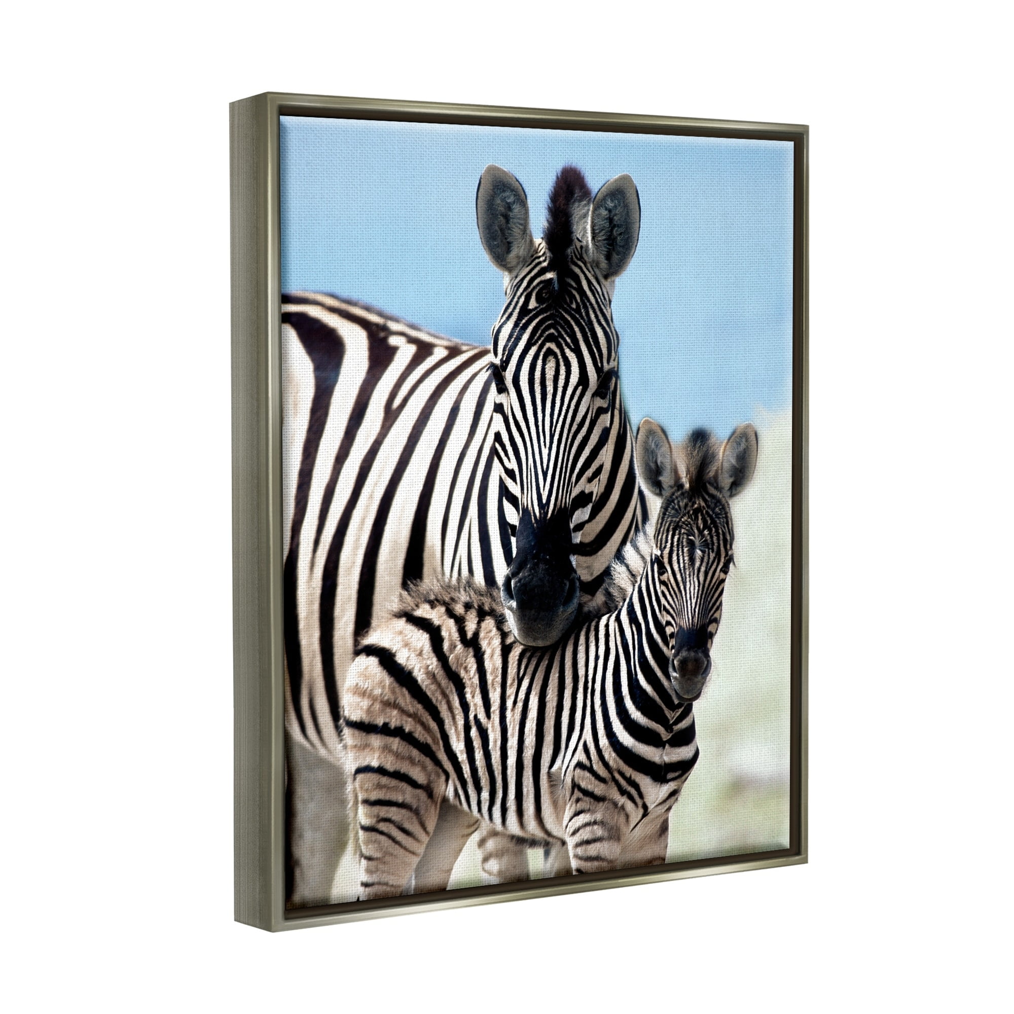 Stupell Industries Uplifting Zebra Family Mother Child Savanna Animals Photograph Luster Gray Floating Framed Canvas Print Wall Art, Design by Danita Delimont