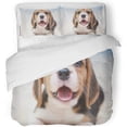 thumbnail image 1 of Juego de Ropa de Cama de 3 Piezas ABPHQTO Funda de edredón Twin con 2 fundas de almohada Marrón, 1 of 1