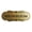 Brushed Gold, variant on Signs ByLITA Designer Showroom Sign (Ivory/Dark Brown) - Medium