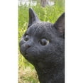 thumbnail image 2 of Hi-Line Gift 87757-L Black Cat Walking Looking Left Statue, 2 of 5