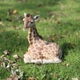 thumbnail image 1 of STATUE de Girafe Allongée, 1 of 5