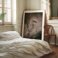 thumbnail image 3 of Perched House Sparrow - Manhattan New York Photography Bird Wildlife Nature Animal Woodland Autumn Scenic Unframed Wall Art Print 22 x 28 inches, 3 of 13