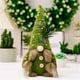thumbnail image 3 of Jardín de suculentas Muñeca sueca verde Cumpleaños Juguetes musicales de dinosaurios Super Kitty Animales de peluche orgánicos Oso positivo Lindos animales de peluche de gato Mono Pokémon Peluche, 3 of 8