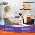 thumbnail image 4 of JumblPets Pet Stain & Odor Neutralizer, Natural Enzyme Cleaner & Spot Remover Spray, 4 of 9