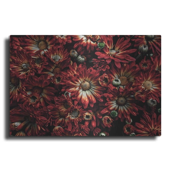 Luxe Metal Art 'Backyard Flowers 88 Color Version' by Brian Carson, Metal Wall Art, 24"x16"