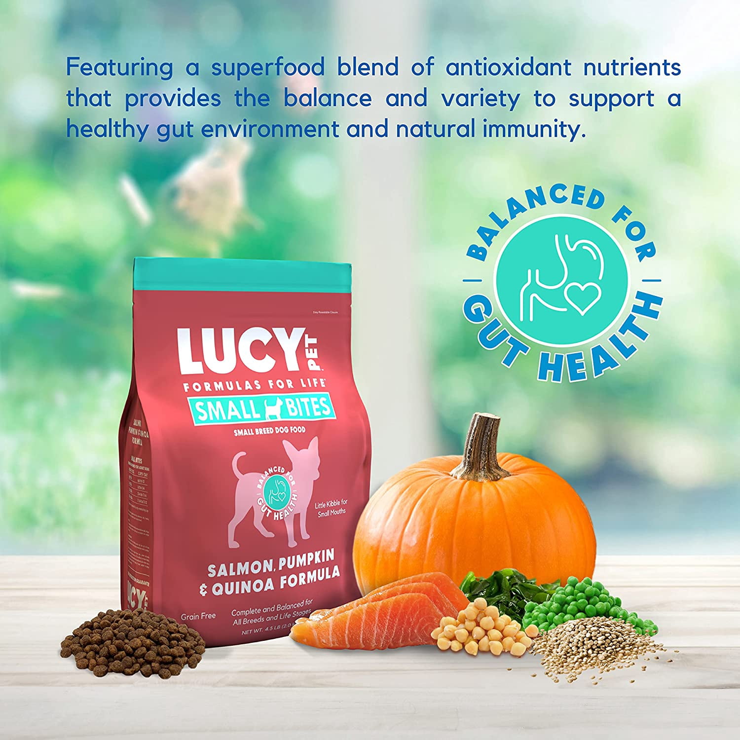 Lucy Pet Products Grain-Free Small Bites Small Breed Dry Dog Food, Salmon, Pumpkin & Quinoa, 1 Each/4.5 lb
