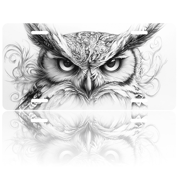 1 Pcs 2D Flat License Plate Covers & Frames, An Owl For Decorative Front, Waterproof For Decoration Aluminum License Plate Covers & Frames Cover For Men Women, 12" X 6"