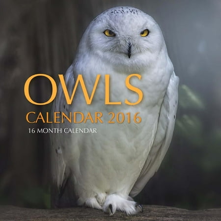 Owls Calendar 2016: 16 Month Calendar (Paperback)