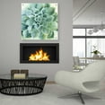 thumbnail image 4 of Epic Art 'Verdant Succulent II' by Grace Popp, Acrylic Wall Glass, 36"x36", 4 of 7