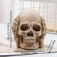 thumbnail image 3 of Ornament Light Sanbu Skull Lighting Table Decoration Halloween Decoration, 3 of 5