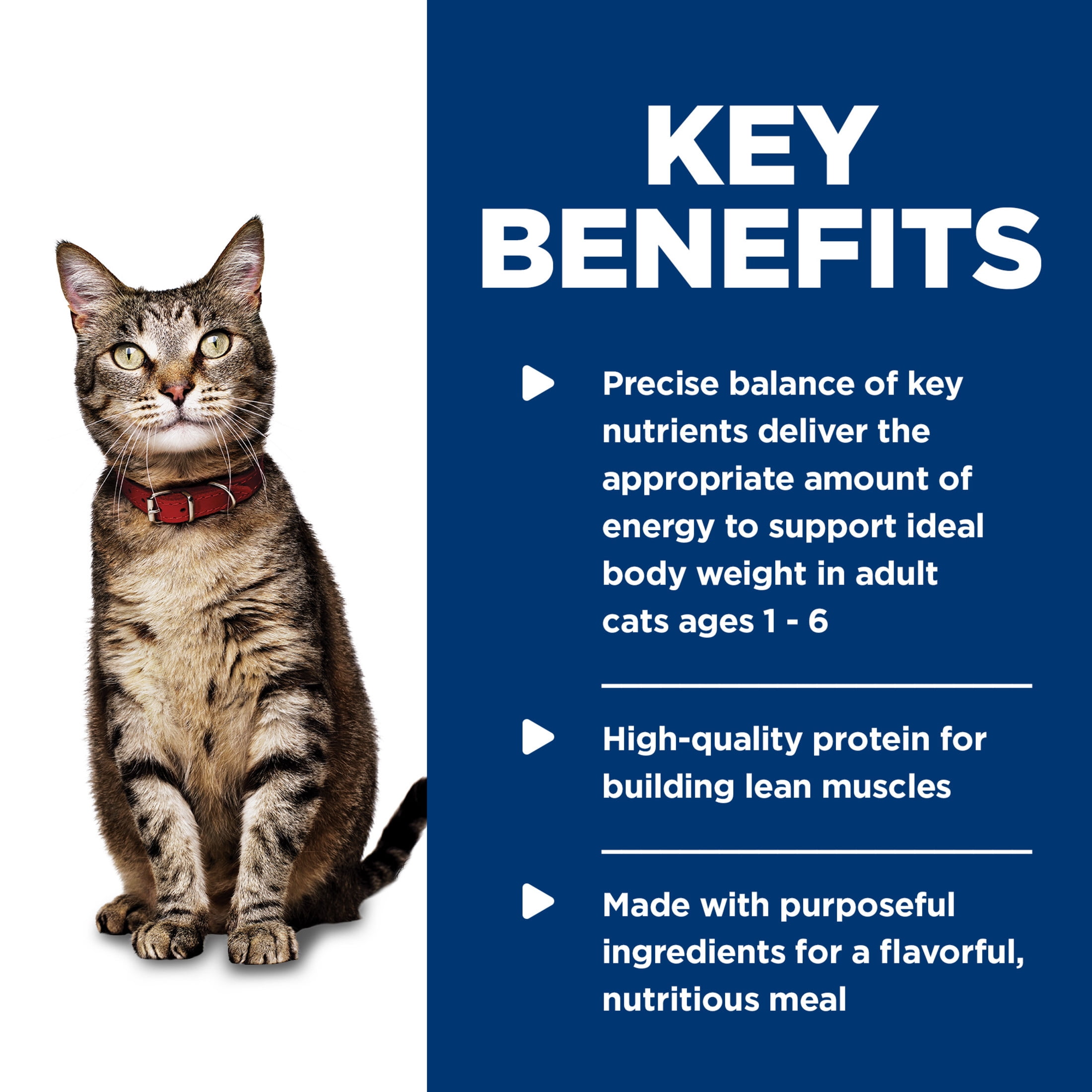 Hill's Science Diet Tender Tuna Dinner Wet Cat Food, 5.5oz Can 24pk