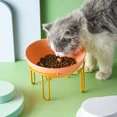 thumbnail image 5 of Cuenco de cerámica para perros con soporte de metal que protege la columna vertebral Cuencos para comida y agua para gatos Suministros para mascotas, 5 of 5