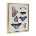thumbnail image 3 of Stupell Industries Shabby Chic Various Vintage Butterflies Gold Floating Frame Canvas Art, 17 x 21, by Lil' Rue, 3 of 8
