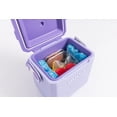 thumbnail image 2 of Ice Blocks Igloo Large Maxcold, paquete de 2, reutilizables para refrigeradores, 2 of 8