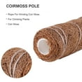 thumbnail image 4 of 2pcs Coir Totem Pole 12 Inch Plant Support Extension Plant Coir Moss Stick, 4 of 5